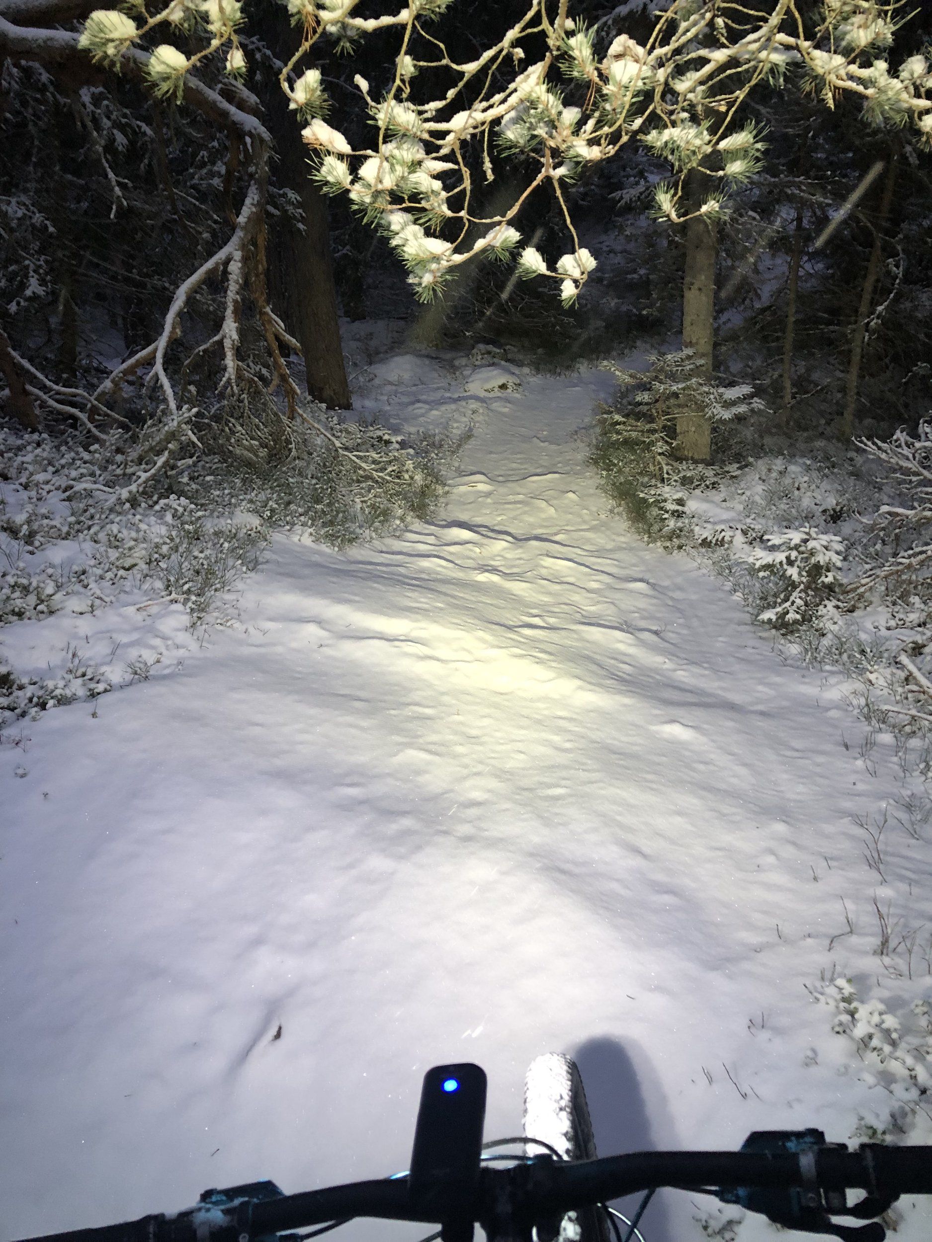 A5D7EC41-A9C4-4984-8E6D-7A8F2B66A0D3.jpeg