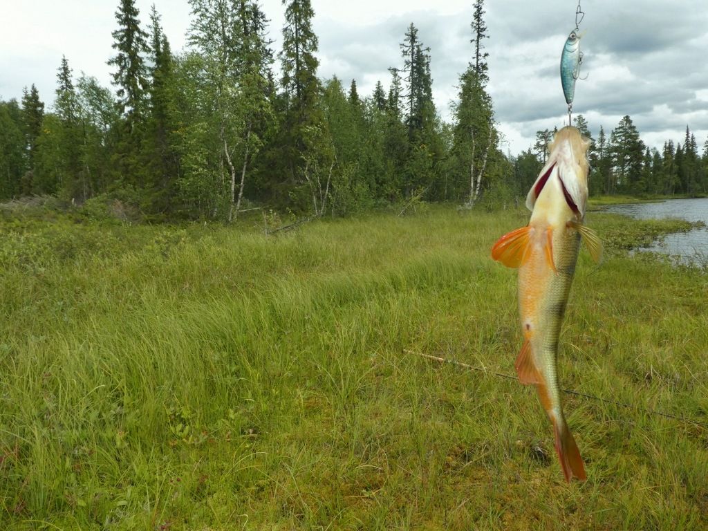aaaaP10900151024x768.jpg