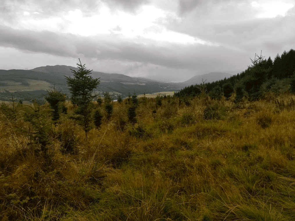 Aberfeldy.png
