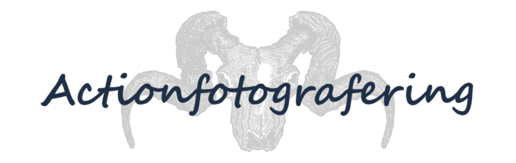 actionfoto.png