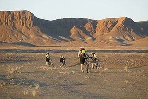 AD810506059.jpg ht=201