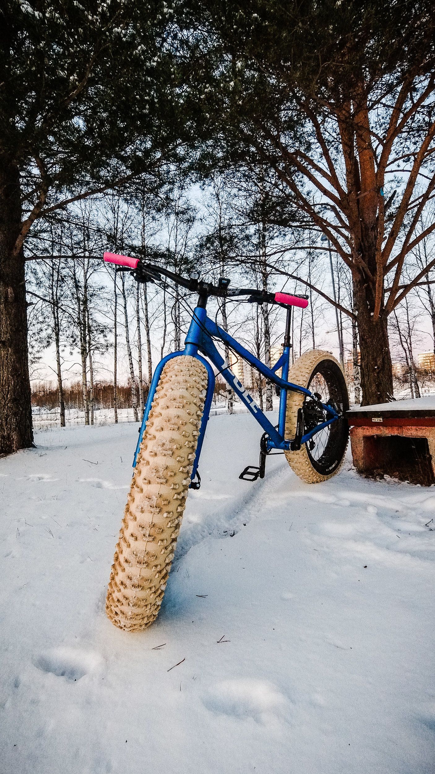 AdobePhotoshopExpress 2019-11-30 15:17:34.jpg