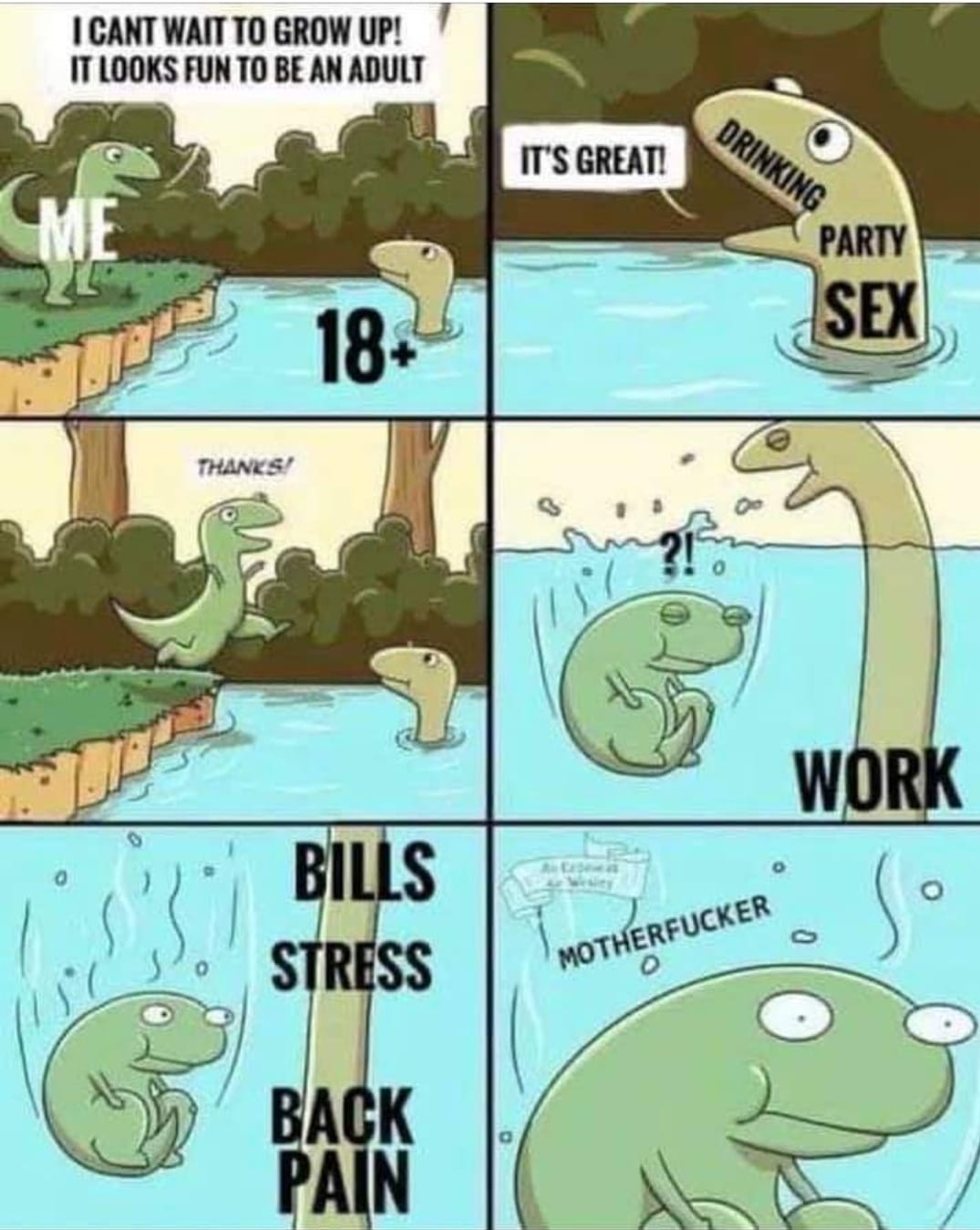 Adult.jpg