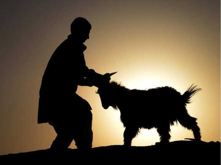 afghanistan-religion-eid1.jpg