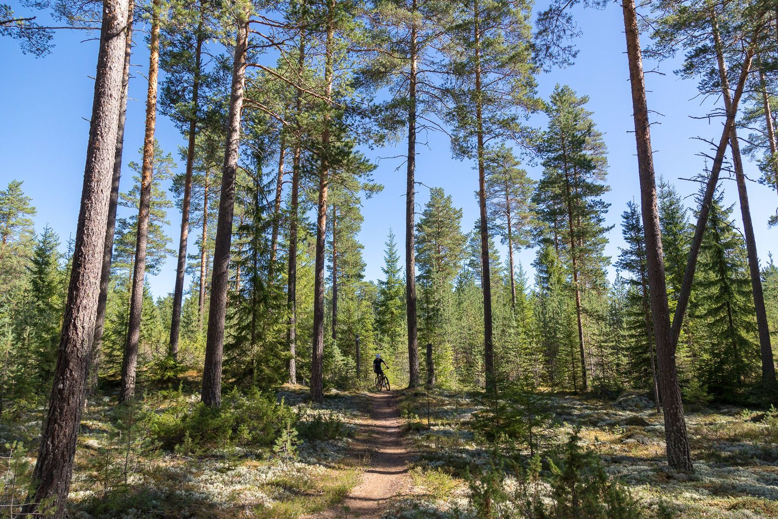 AG_2018.08.07_CanonEOS5DMarkIV_00164.jpg