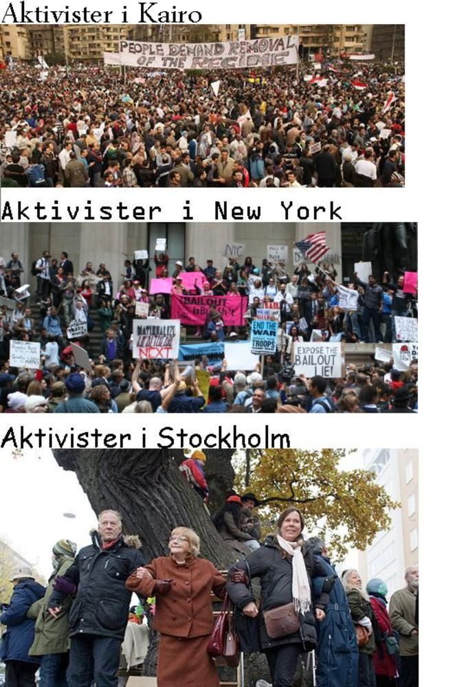 aktivister.jpg
