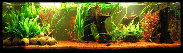 akvarium.jpg ht=175