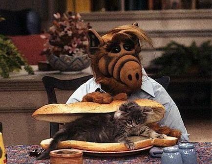 Alfsmaskarkatt.jpg ht=335