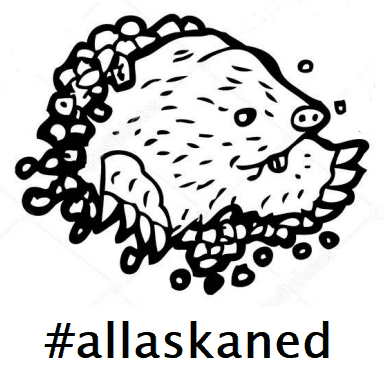 allaskaned.png