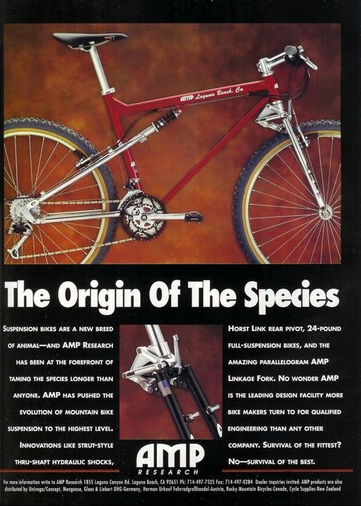 AMP.jpg ht=725