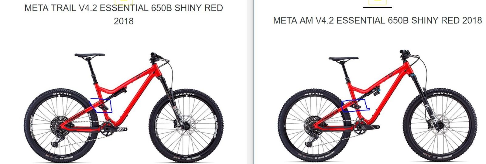 AMvsTR.JPG