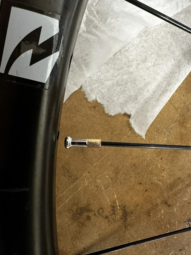 andra ekern - liten.webp