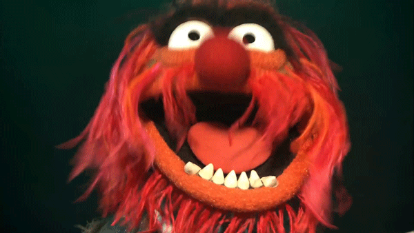 animal.gif