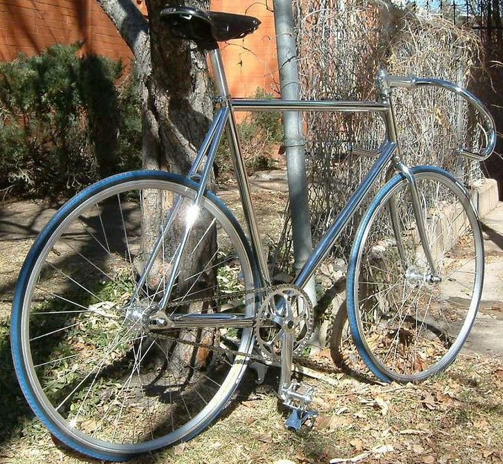 AnnTroyCecchine-WilliamsChromeFixie.jpg ht=669