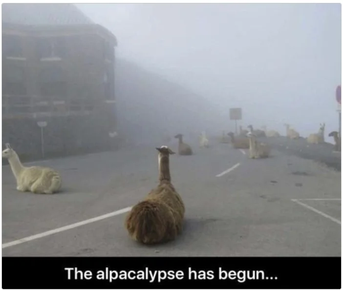 apocalypse.webp