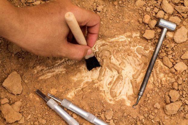 archaeology1.jpg
