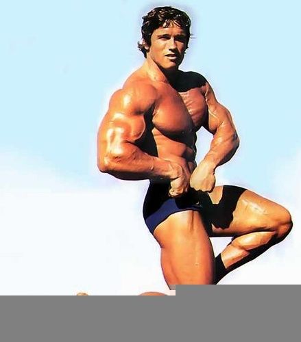 Arnold2010.jpg ht=500