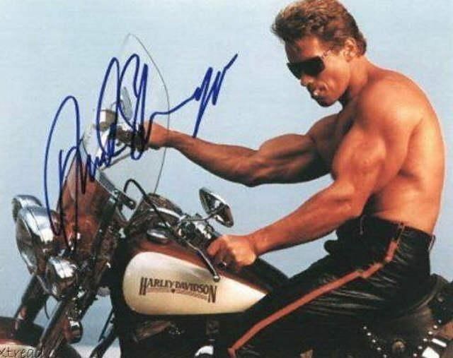 ArnoldSchwarzenegger01.jpg ht=507