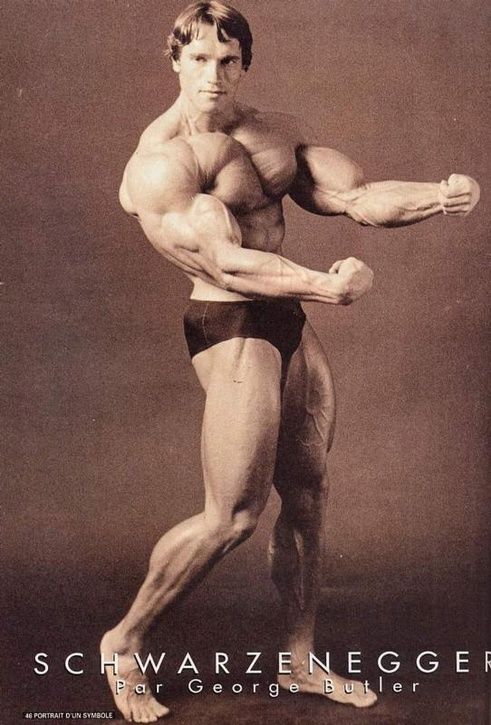ArnoldSchwarzenegger02.jpg ht=725