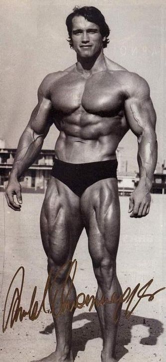 ArnoldSchwarzenegger03.jpg ht=725