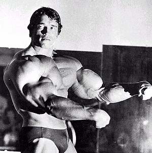 arnold-schwarzenegger-big.jpg ht=302