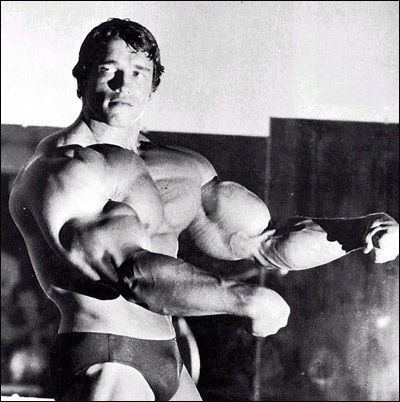 arnold-schwarzenegger-big_muscle.jpg ht=402
