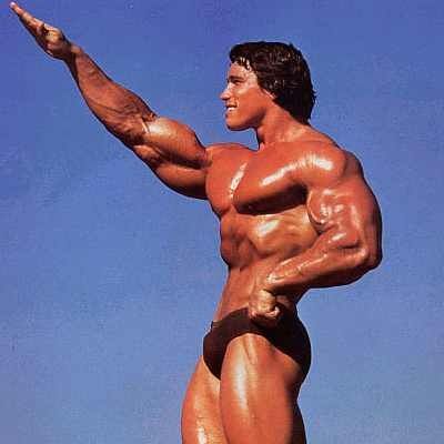 arnold-schwarzenegger.jpg ht=400