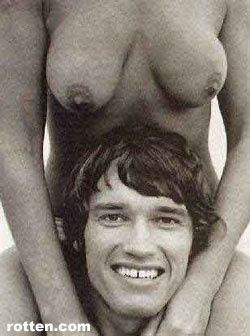 arnold_001.jpg ht=336