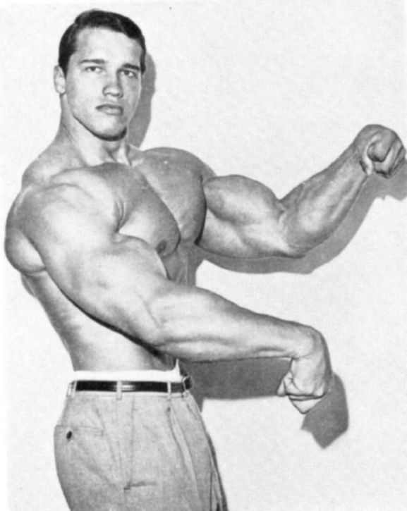 Arnold_002.jpg ht=725