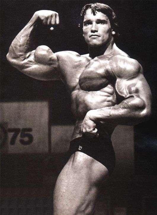 arnold_schwarzenegger009.jpg ht=725