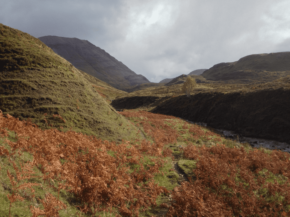 Assynt3.png