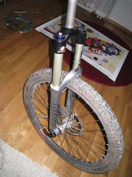 augusti2008084Large.jpg ht=600