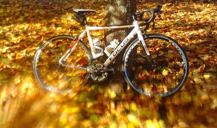 AutumnVariado.jpg