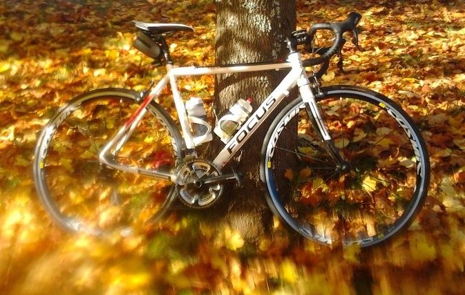 AutumnVariadoSmaller.jpg