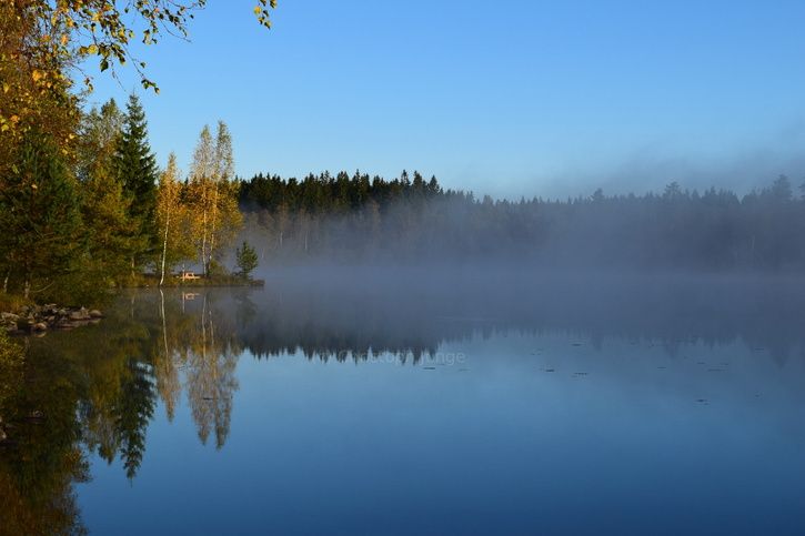 Autumn_small.JPG
