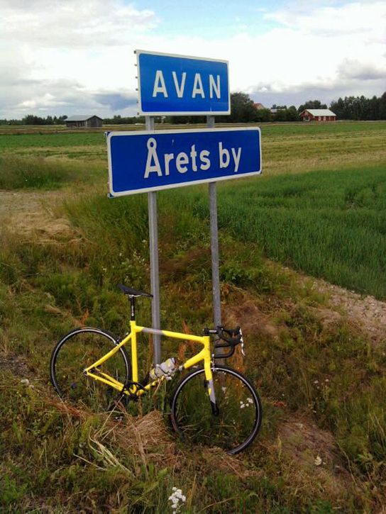 avan1.jpg ht=725