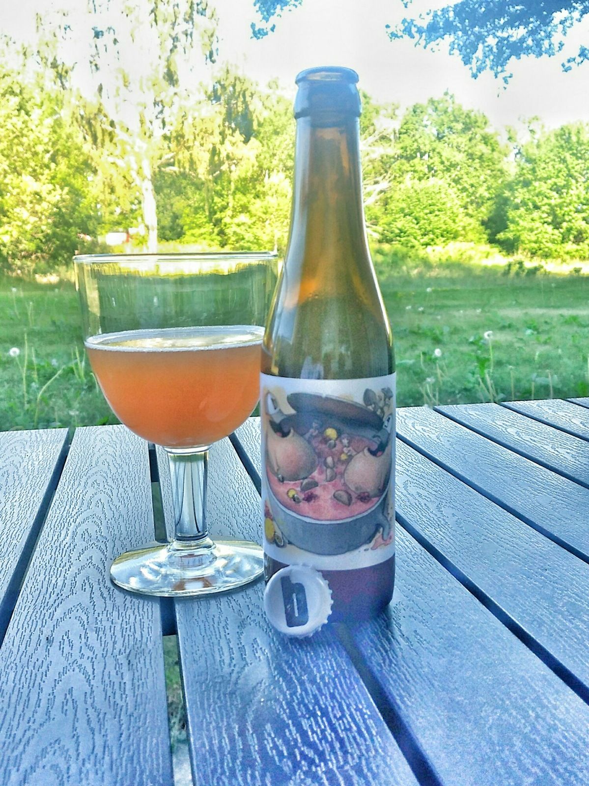 aviary-image-1527869773729.jpeg