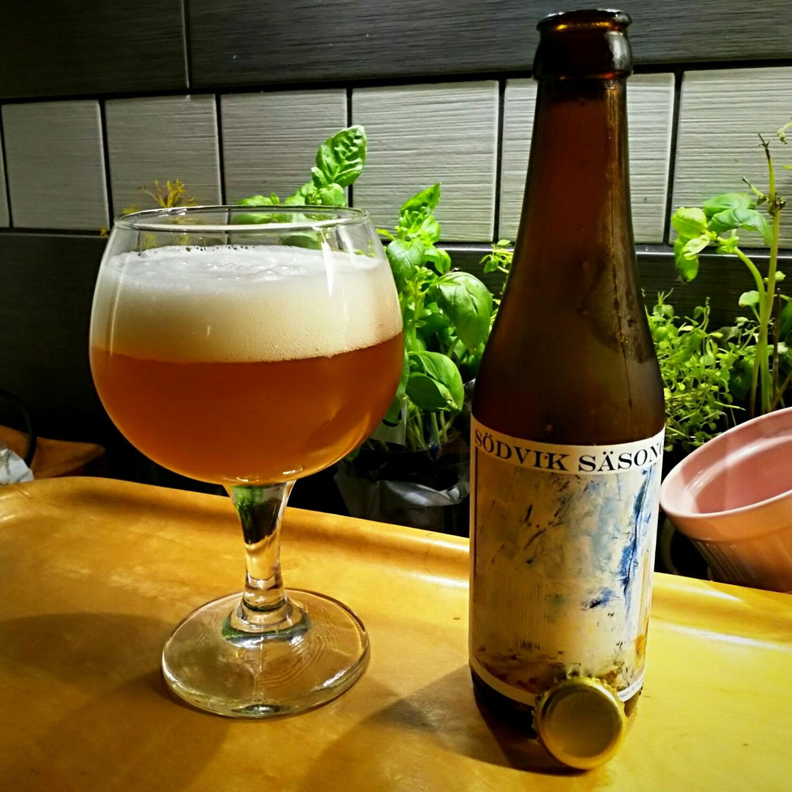 aviary-image-1536776213273.jpeg