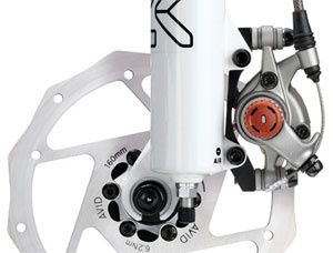 AVID022-BAK.jpg ht=228