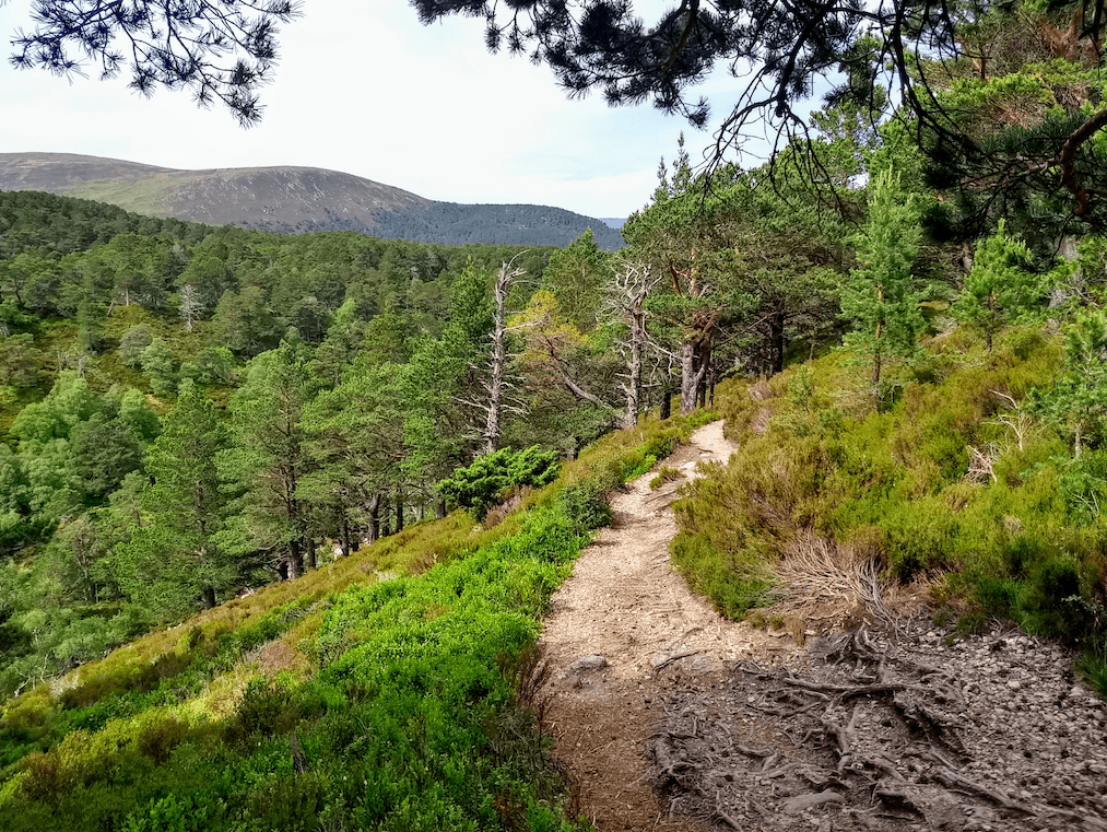 Aviemore1.png
