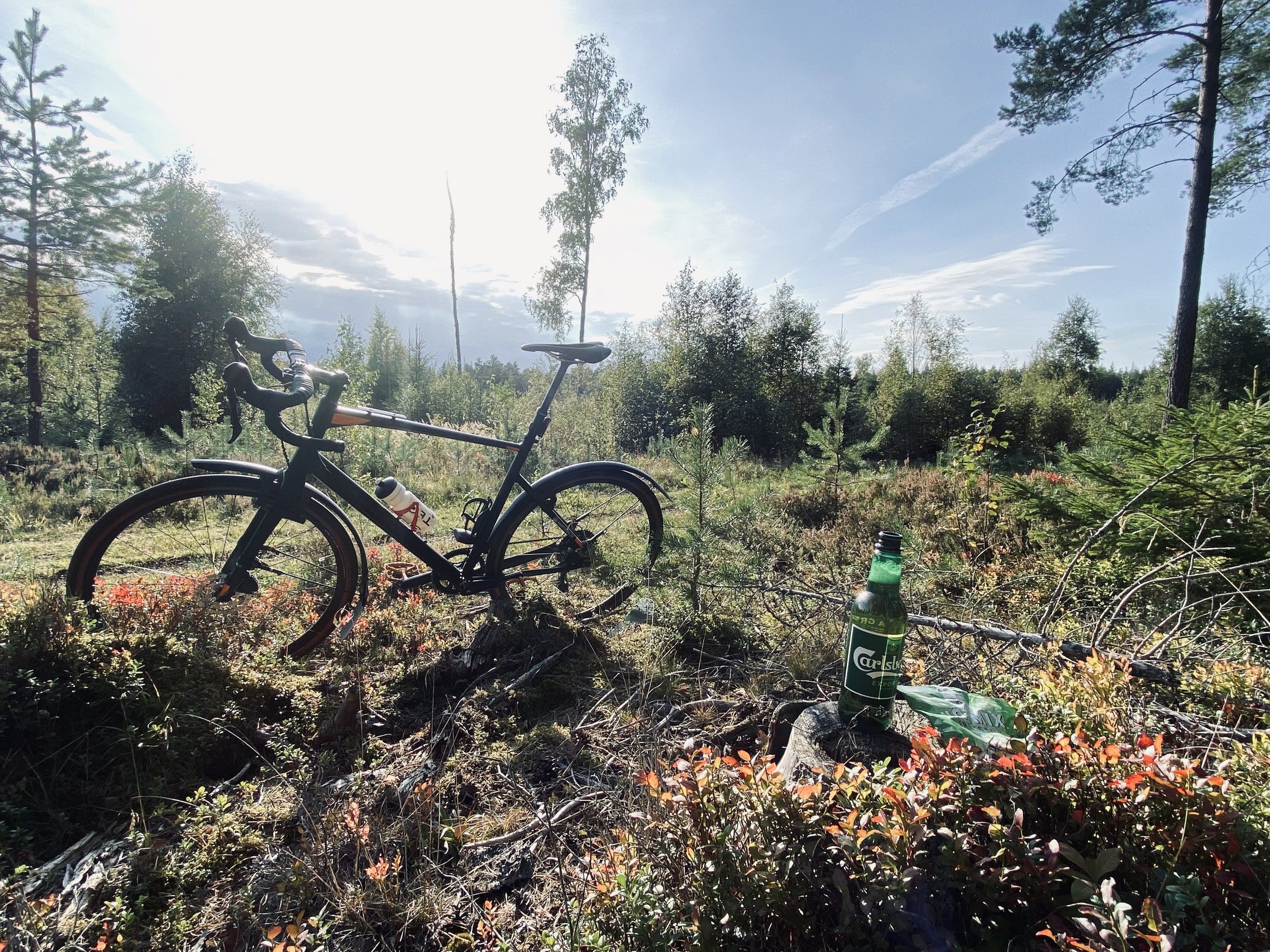 B3B09050-D0EE-4E49-A856-D5B255E3C1DB.jpeg