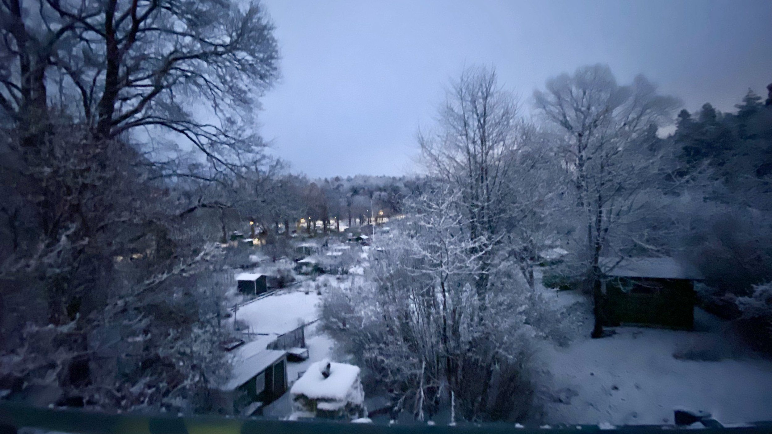 B4CE8804-8025-4B18-847B-3ADE5642D278.jpeg