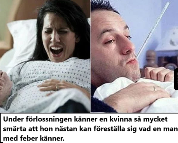 b7391050dc6d155152dc8e08fbd3d401,1387,0,0,0 (1).png