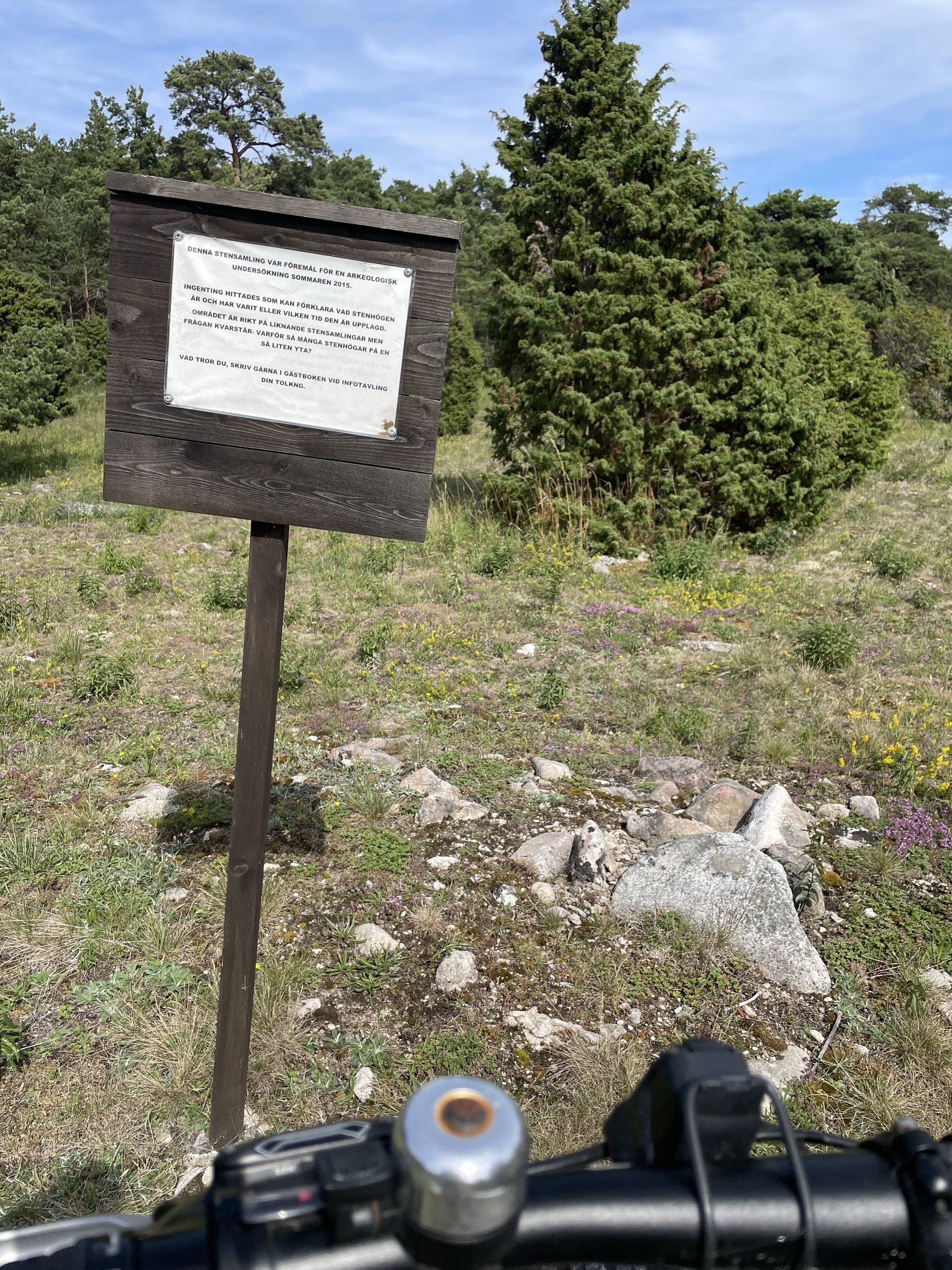 B7D12050-4D2A-4FFE-AD9A-4427E67418E7.jpeg