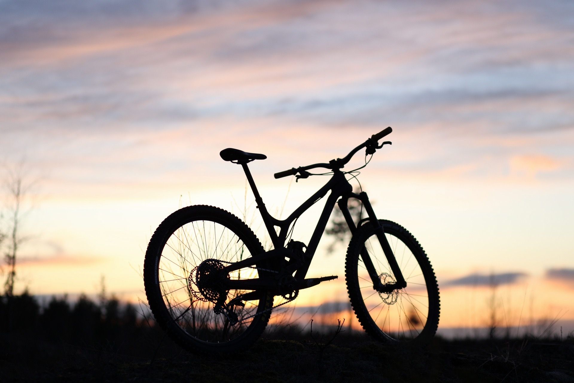 B849ADBB-5089-445A-B51F-B4A5C37142F0.jpeg