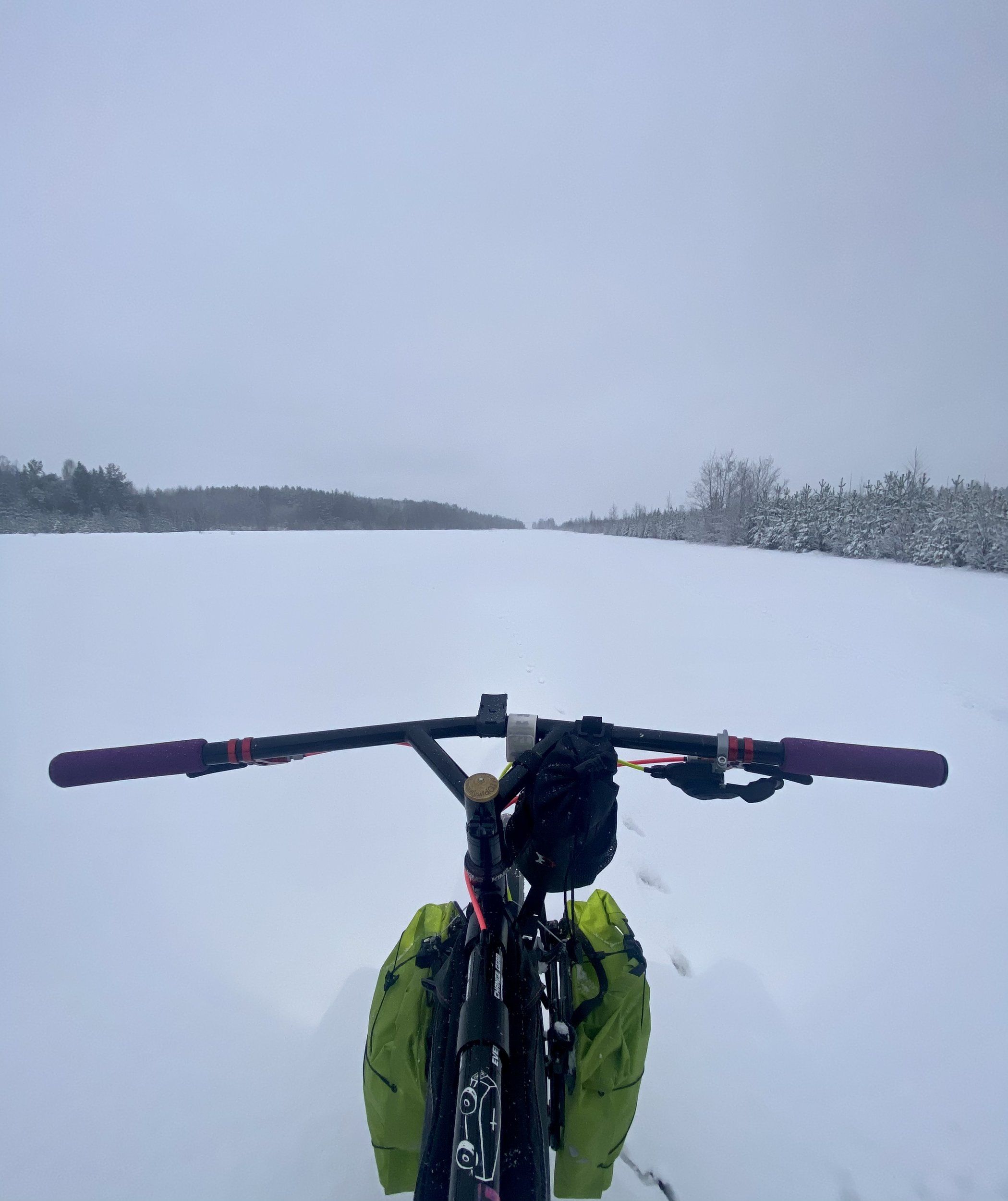 BA08090D-4D7D-4570-A4A0-6A81F177F3D3.jpeg