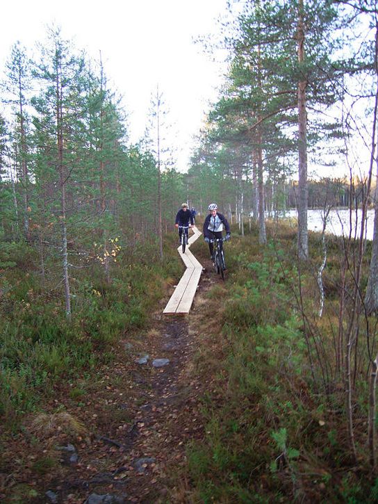 bÃckis06.jpg ht=725