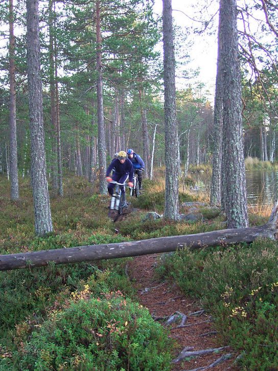 bÃckis10.jpg ht=725