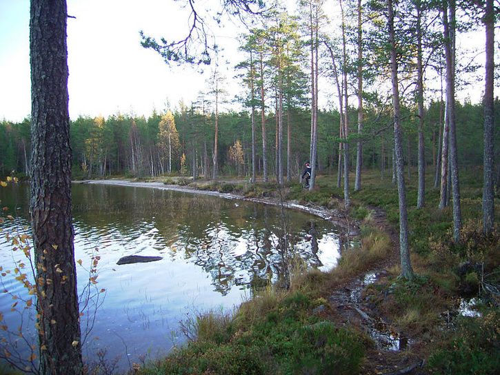 bÃckis14.jpg ht=544