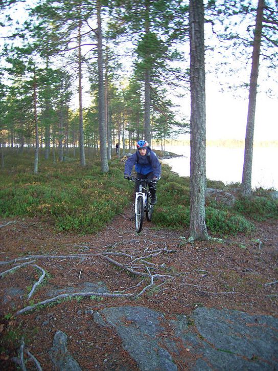 bÃckis15.jpg ht=725